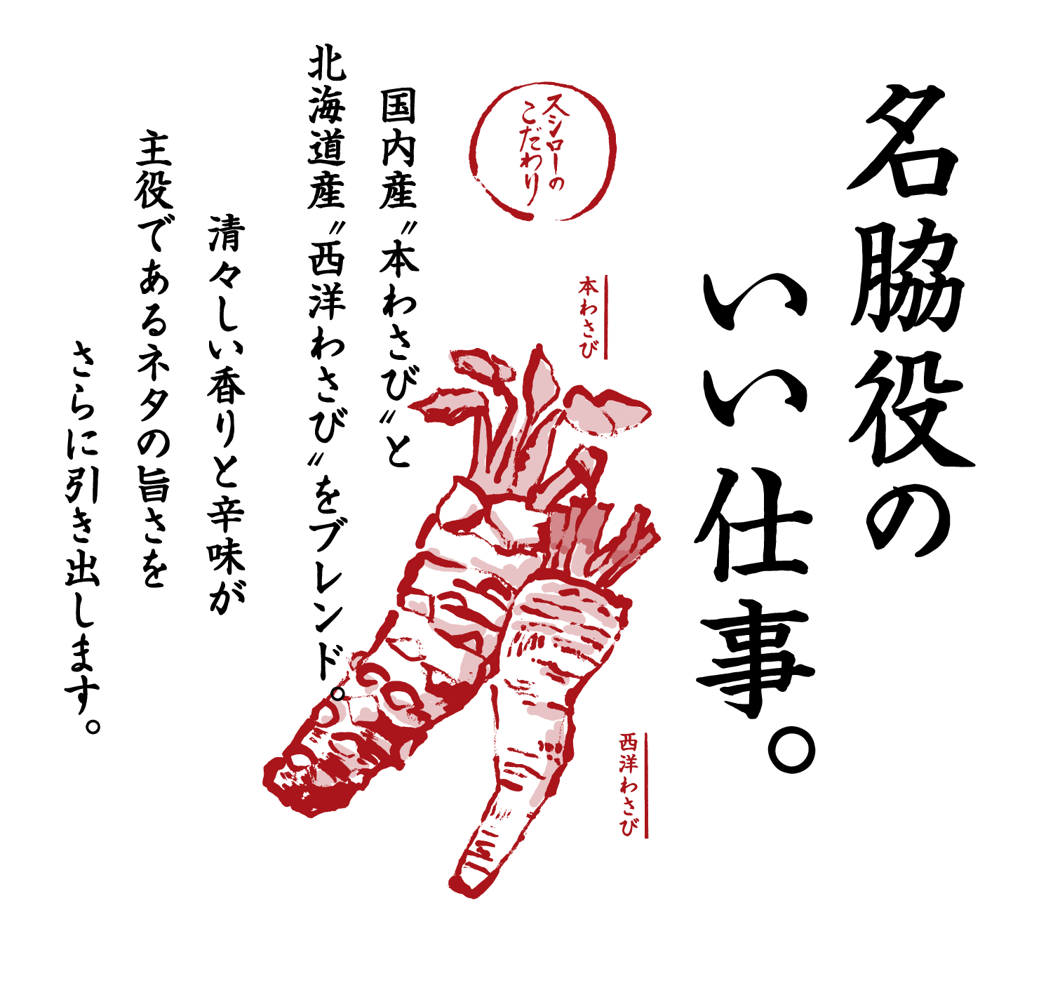 名脇役のいい仕事。 スシローのこだわり 本わさび 西洋わさび 国内産〝本わさび〟と北海道産〝西洋わさび〟をブレンド。清々しい香りと辛味が主役であるネタの旨さをさらに引き出します。